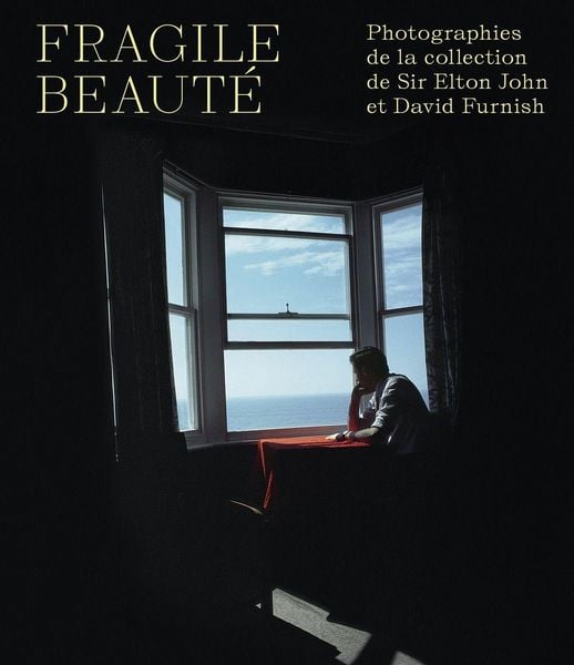 Produktbild: Fragile beaut&eacute;. Photographies de la collection de sir Elton John et David Furnish