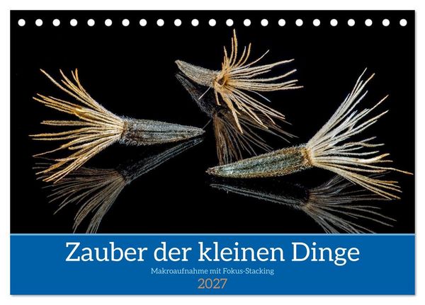 Produktbild: Zauber der kleinen Dinge (Tischkalender 2027 DIN A5 quer), CALVENDO Monatskalender