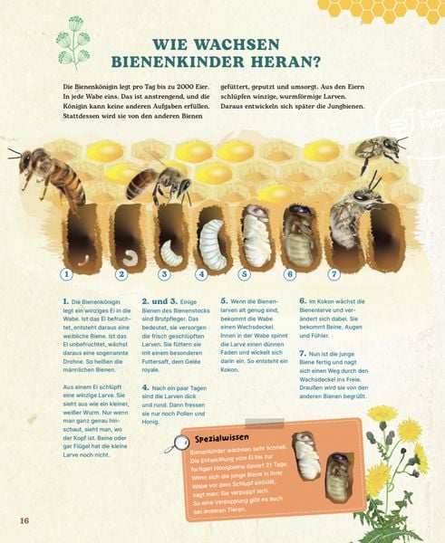 Produktbild: Bienen