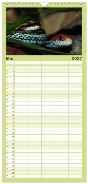 Produktbild: Familienplaner 2027 - Schlangen mit 5 Spalten (Wandkalender, 21 x 45 cm) CALVENDO