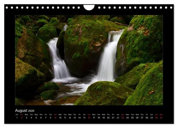 Produktbild: The Black Forest - UK Version (Wall Calendar 2026 DIN A4 landscape), CALVENDO 12 Month Wall Calendar