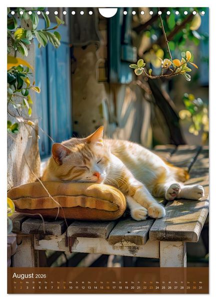 Produktbild: Kuschelkatzen - Fellnasen im Schlummerland (Wandkalender 2026 DIN A4 hoch), CALVENDO Monatskalender