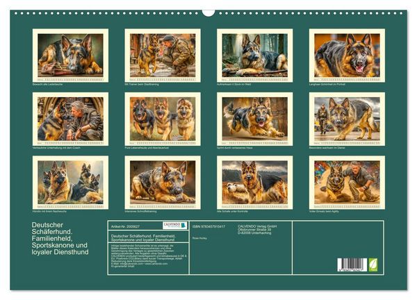 Produktbild: Deutscher Sch&auml;ferhund. Familienheld, Sportskanone und loyaler Diensthund (Wandkalender 2026 DIN A2 quer), CALVENDO Monatskalender