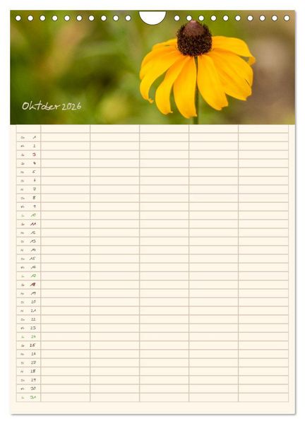Produktbild: Mit Blick in den Garten (Wandkalender 2026 DIN A4 hoch), CALVENDO Monatskalender