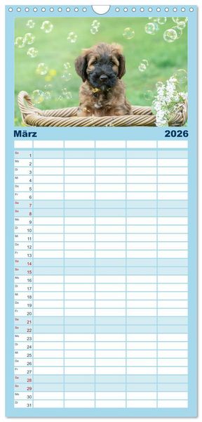 Produktbild: Familienplaner 2026 - Briardbabys in ihren ersten Wochen mit 5 Spalten (Wandkalender, 21 x 45 cm) CALVENDO