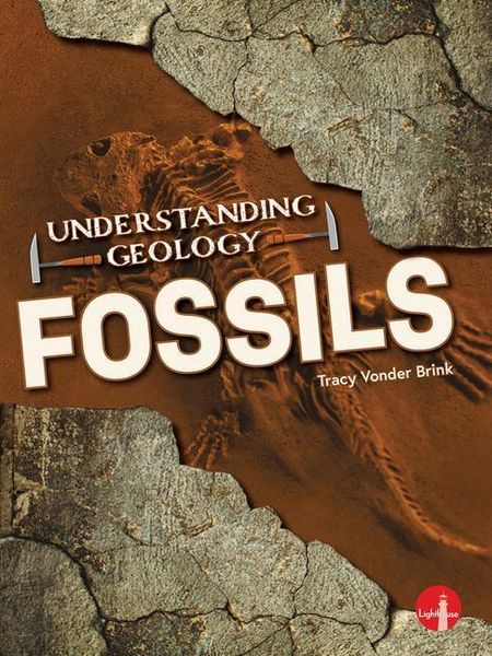 Produktbild: Fossils