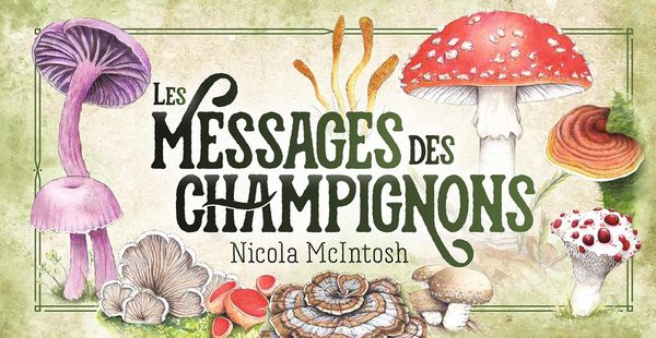 Produktbild: Les messages des champignons