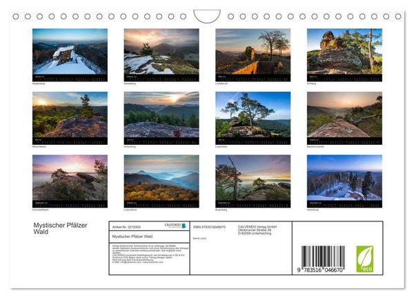 Produktbild: Mystischer Pf&auml;lzer Wald (Wandkalender 2026 DIN A4 quer), CALVENDO Monatskalender