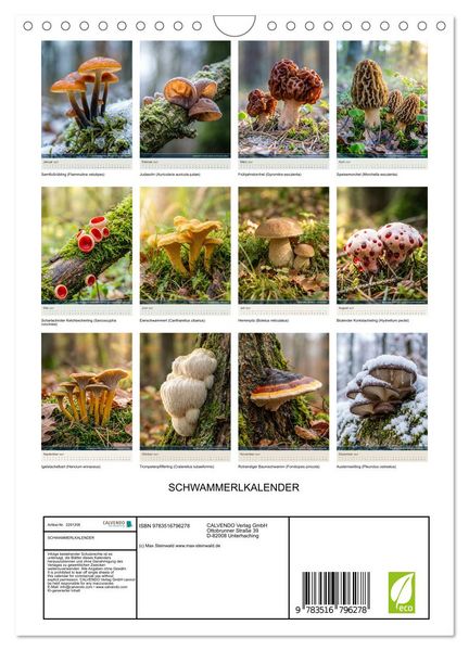 Produktbild: SCHWAMMERLKALENDER (Wandkalender 2027 DIN A4 hoch), CALVENDO Monatskalender