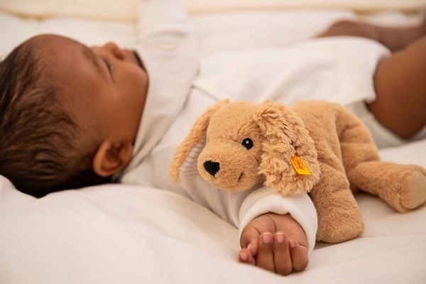 Produktbild: Steiff 242595 - Soft Cuddly Friends Floppy Lumpi Hund, hellbraun 20 cm