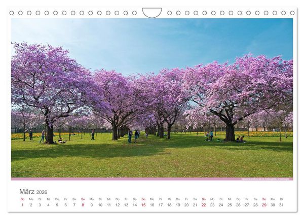 Produktbild: Der Neckar - Unterwegs in Deutschland (Wandkalender 2026 DIN A4 quer), CALVENDO Monatskalender
