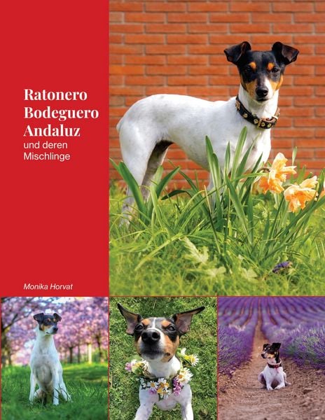 Produktbild: Ratonero Bodeguero Andaluz