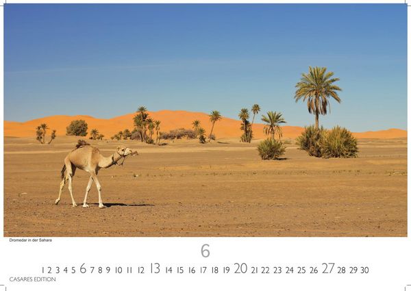 Produktbild: Tunesien Kalender 2027 &ndash; Wandkalender | Fotokalender Afrika 24x35 cm: Hochwertige Fotos, die die Kultur, Landschaften und Sehensw&uuml;rdigkeiten Tunesiens zeigen.