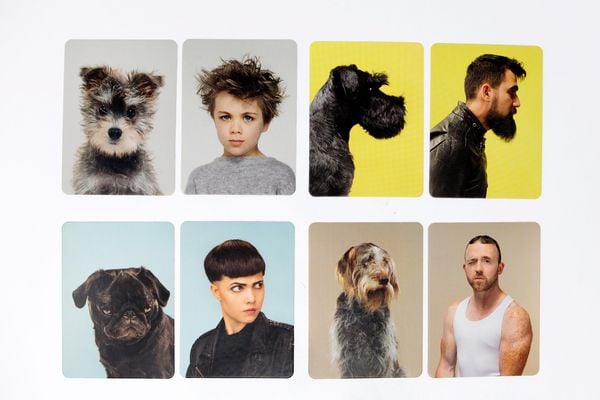 Produktbild: Siehst du aus wie dein Hund?