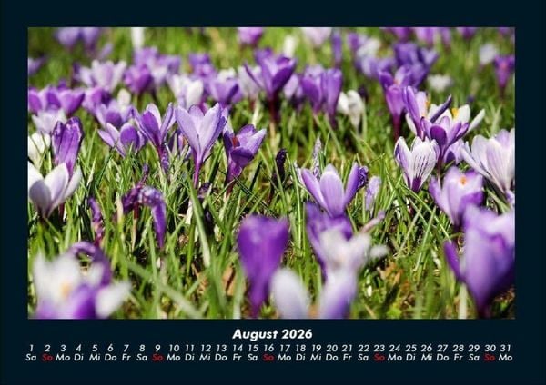 Produktbild: Pflanzen und Bl&uuml;ten 2026 Fotokalender DIN A4