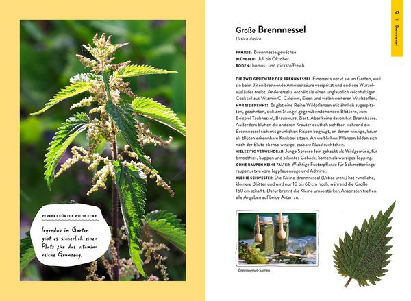 Produktbild: Garden Guide Wildkrautampel