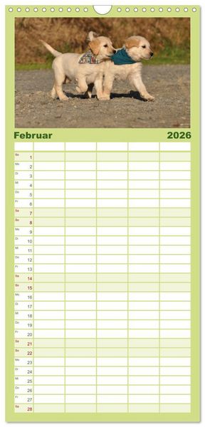 Produktbild: Familienplaner 2026 - Golden Retriever mit 5 Spalten (Wandkalender, 21 x 45 cm) CALVENDO