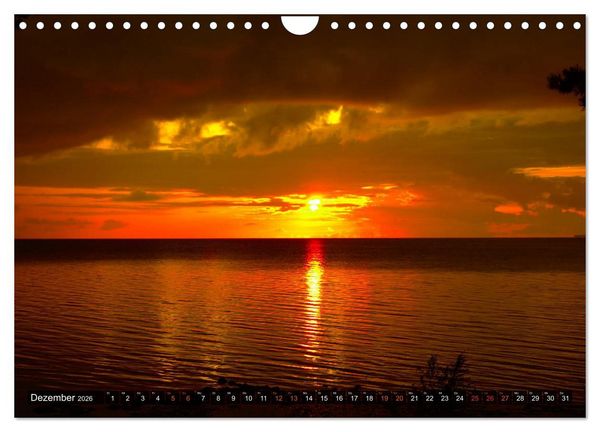 Produktbild: Bezauberndes Estland (Wandkalender 2026 DIN A4 quer), CALVENDO Monatskalender