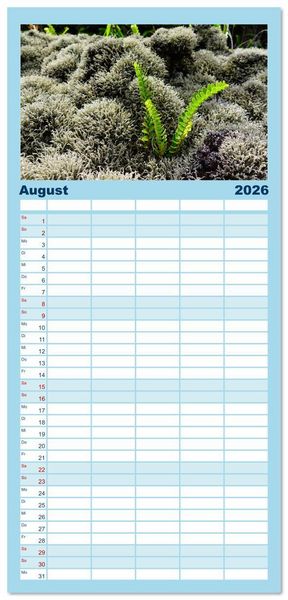 Produktbild: Familienplaner 2026 - La Reunion - Traumhafte K&uuml;sten und Hochgebirge mit 5 Spalten (Wandkalender, 21 x 45 cm) CALVENDO