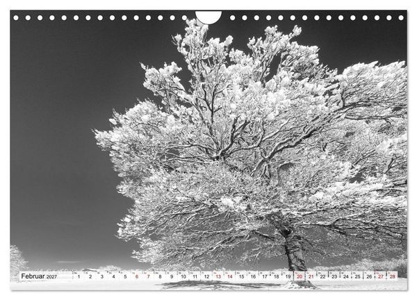Produktbild: Traumhafte Allg&auml;uer Alpen (Wandkalender 2027 DIN A4 quer), CALVENDO Monatskalender