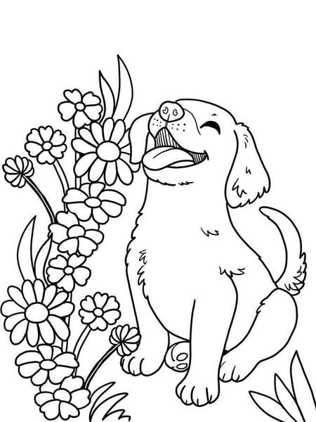 Produktbild: Mein Gl&uuml;cksgarten