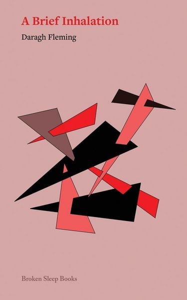 Produktbild: A Brief Inhalation