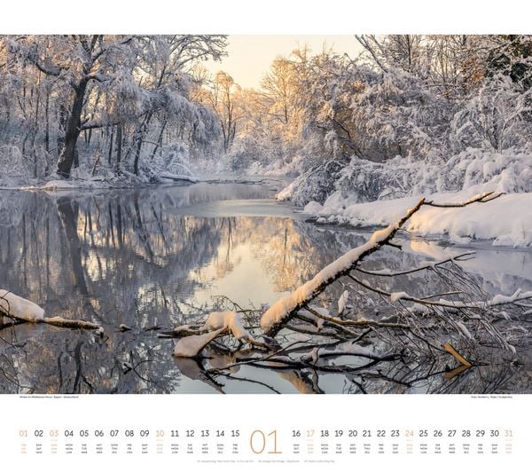 Produktbild: Wald Kalender 2027