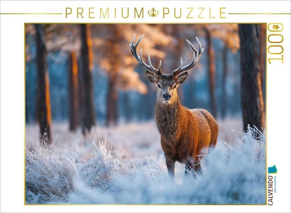 Produktbild: CALVENDO Puzzle Ein stolzer Hirsch steht im verschneiten Winterwald und wird vom warmen Licht der aufgehenden Sonne erleuchtet. | 1000 Teile Lege-Gr&ouml;&szlig;e 64x48cm Foto-Puzzle f&uuml;r gl&uuml;ckliche Stunden