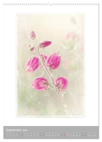 Produktbild: Kunstwerk Natur (hochwertiger Premium Wandkalender 2026 DIN A2 hoch), Kunstdruck in Hochglanz