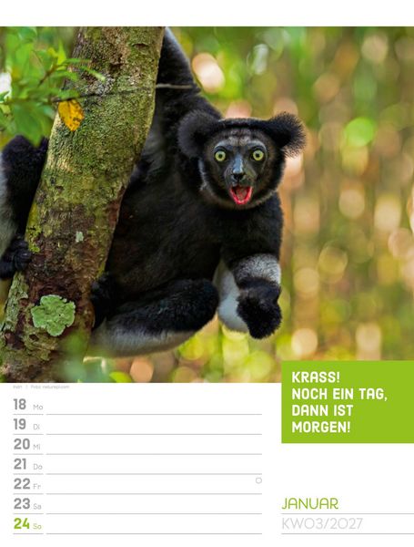 Produktbild: Tierisch Spr&uuml;chekalender Wochenplaner 2027