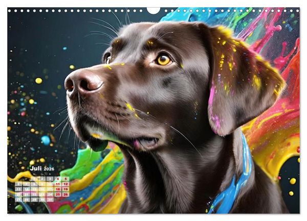Produktbild: Splash - Hunde im Farbrausch (Wandkalender 2026 DIN A3 quer), CALVENDO Monatskalender
