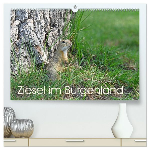 Produktbild: Ziesel im Burgenland (hochwertiger Premium Wandkalender 2026 DIN A2 quer), Kunstdruck in Hochglanz