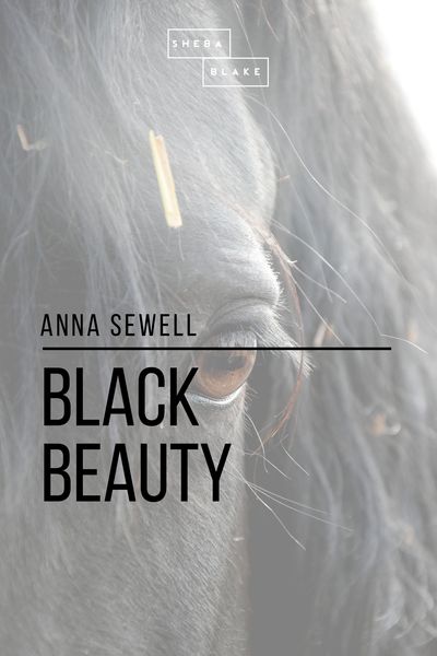 Produktbild: Black Beauty