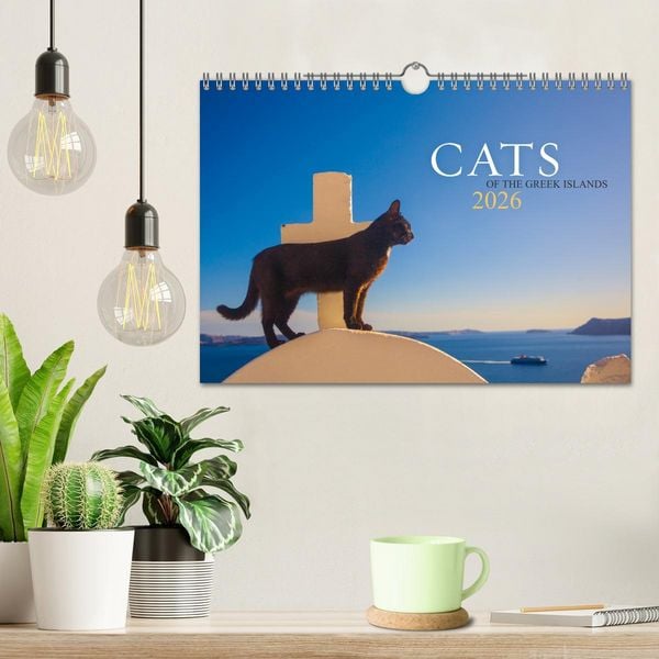 Produktbild: Cats of the Greek Islands (Wall Calendar 2026 DIN A4 landscape), CALVENDO 12 Month Wall Calendar