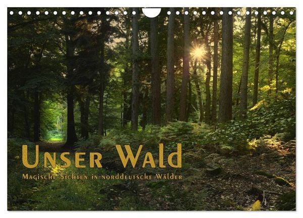 Produktbild: Unser Wald - Magische Sichten in norddeutsche W&auml;lder / Geburtstagskalender (Wandkalender 2026 DIN A4 quer), CALVENDO Monatskalender