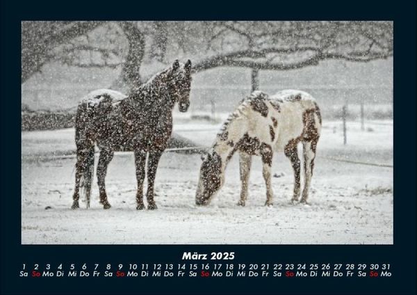Produktbild: Die Welt der Pferde 2025 Fotokalender DIN A4
