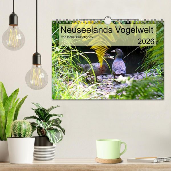 Produktbild: Neuseelands Vogelwelt (Wandkalender 2026 DIN A4 quer), CALVENDO Monatskalender