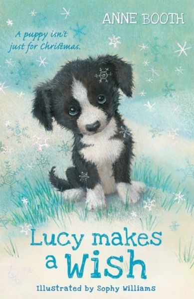 Produktbild: Lucy Makes a Wish
