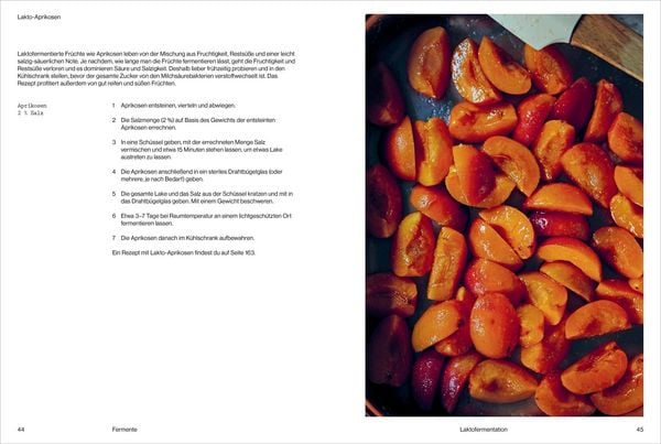 Produktbild: Fermentiert