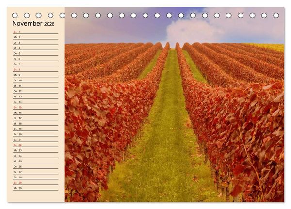Produktbild: Weinanbau. Von der Traube zum Wein (Tischkalender 2026 DIN A5 quer), CALVENDO Monatskalender