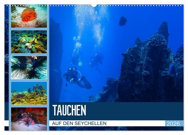 Tauchen auf den Sychellen (Wandkalender 2026 DIN A2 quer), CALVENDO Monatskalender