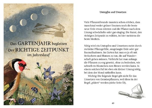 Produktbild: Gärtnern mit der Kraft des Mondes