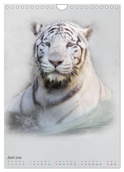 Produktbild: Tiere in Wei&szlig; (Wandkalender 2026 DIN A4 hoch), CALVENDO Monatskalender
