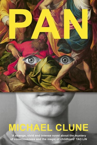 Produktbild: Pan