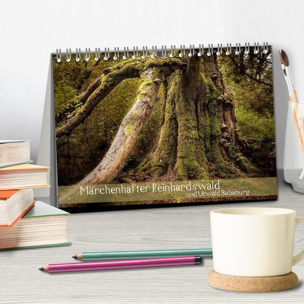 Produktbild: M&auml;rchenhafter Reinhardswald und Urwald Sababurg (Tischkalender 2026 DIN A5 quer), CALVENDO Monatskalender
