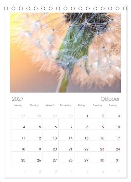 Produktbild: Tischplaner 2027 - Naturjuwel Pusteblume (A5 Tischkalender zum Aufstellen) CALVENDO