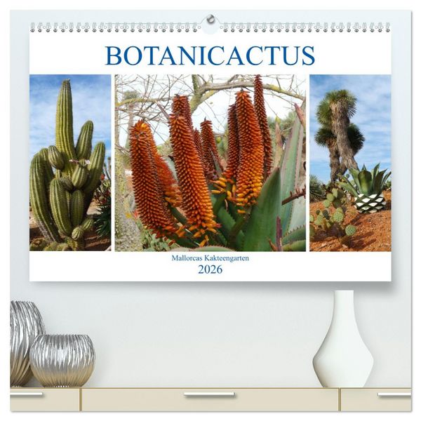 Produktbild: BOTANICACTUS Mallorcas Kakteengarten (hochwertiger Premium Wandkalender 2026 DIN A2 quer), Kunstdruck in Hochglanz