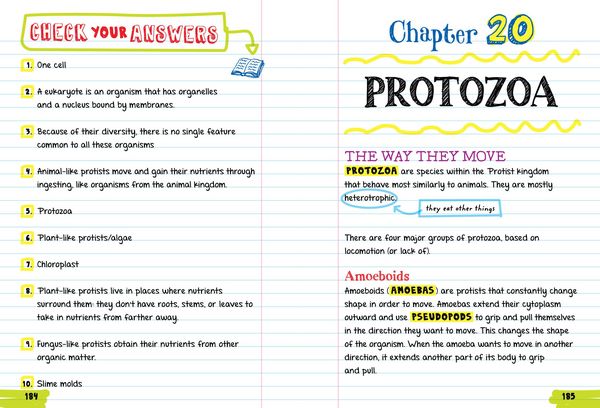 Produktbild: Everything You Need to Ace Biology in One Big Fat Notebook
