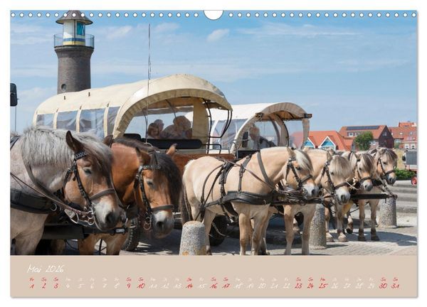 Produktbild: "T&ouml;werland" Juist (Wandkalender 2026 DIN A3 quer), CALVENDO Monatskalender