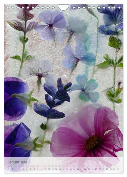 Produktbild: Blumen in Eis (Wandkalender 2026 DIN A4 hoch), CALVENDO Monatskalender